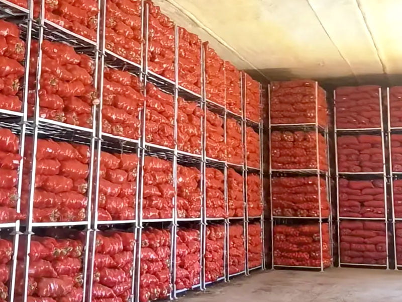 onion storage solution