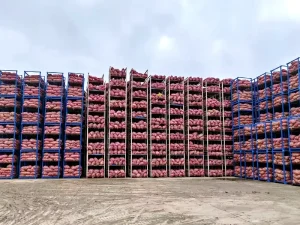High density garlic storage