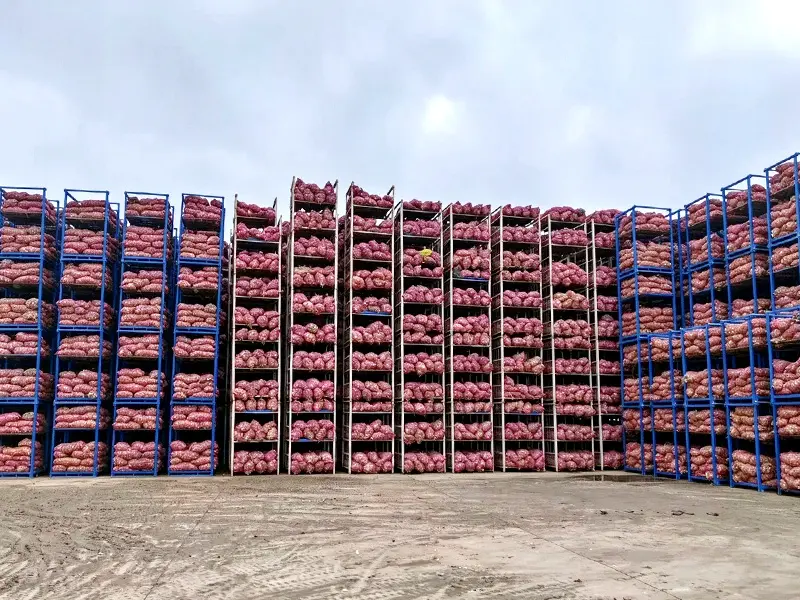 High density garlic storage